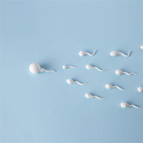 10 Ways To Boost Male Fertility And Increase Sperm Count