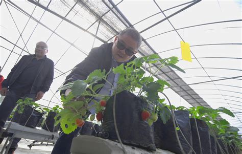 Visit To The Smart Greenhouse Project At The Da Bpi In Baguio City