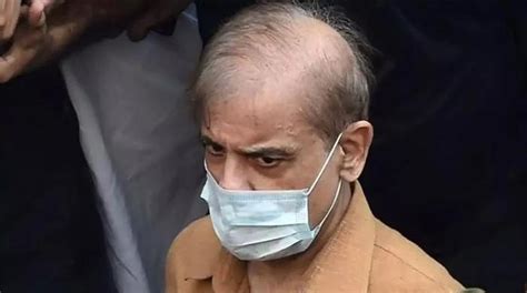 Court Extends Shahbaz Hamzas Bail In Money Laundering Case