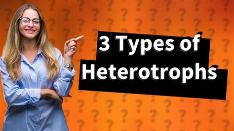 What Are The 3 Types Of Heterotrophs Youtube