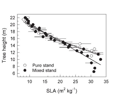 Specific Leaf Area Sla Of Beech Trees Growing In The Pure Or Mixed