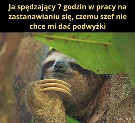 Najlepsze memy o podwyżce Czasami to śmiech przez łzy Kobieta