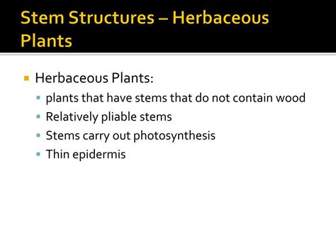 Ppt Lesson 3 Stems And Roots Powerpoint Presentation Free Download Id 2328257