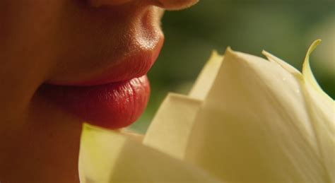 Pintalabios nude descubre por qué es el color de moda Tu Piel y Tú