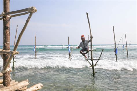 Sri Lanka le Sud côté plages