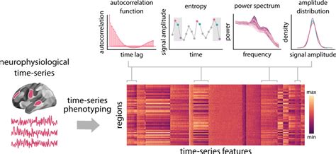 Feature Based Representation Of Neurophysiological Time Series Highly