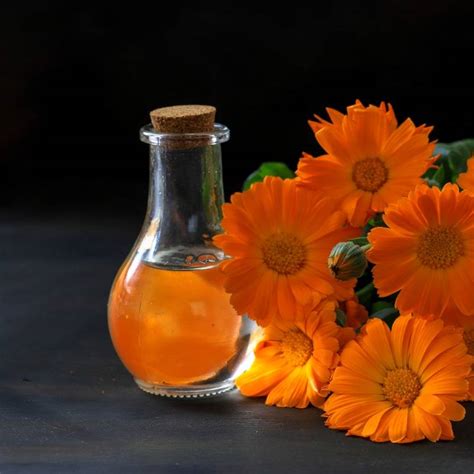 Calendula Carrier Oil Naturallythinking