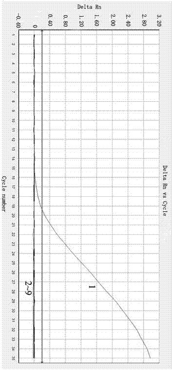 Method Of Detecting And Identifying Cernuella Virgata Da Costa Through