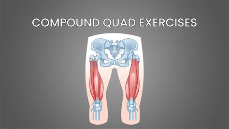 6 Best Compound Quad Exercises (with Pictures!) - Inspire US