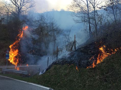 Incendio Boschivo Nella Zona Del Passo Del Biscia Tra Le Province Di