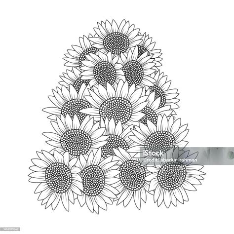 Ilustración De Dibujo Vectorial Girasol Para Colorear De Pétalos