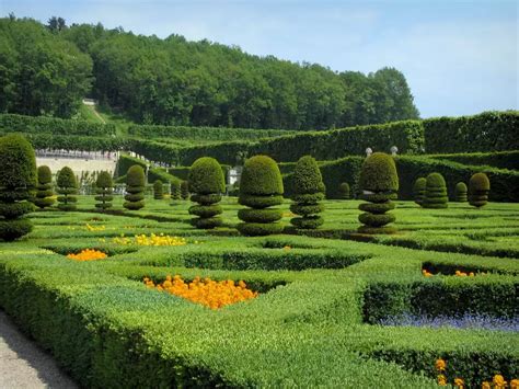 Bilder Gärten des Schlosses Villandry Führer Tourismus Urlaub