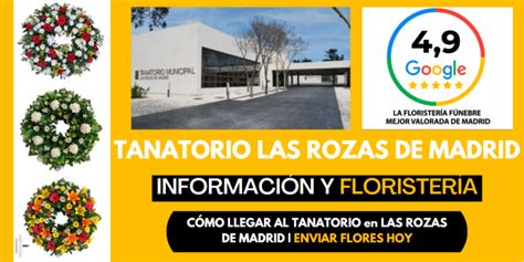 Resumen De Art Culos Las Rozas Madrid Como Llegar Actualizado