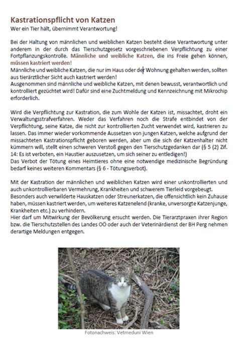 Kastrationspflicht Von Katzen Marktgemeinde Baumgartenberg