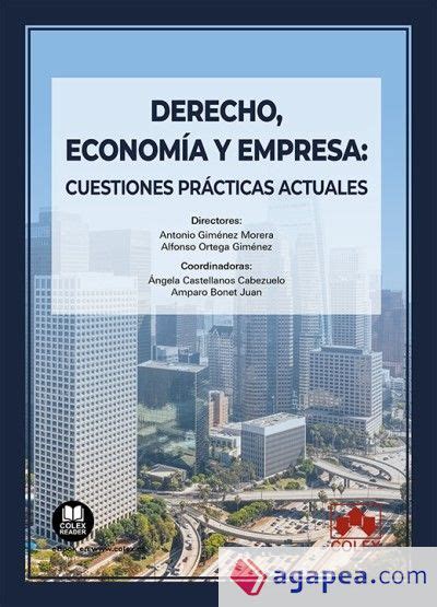 DERECHO ECONOMIA Y EMPRESA CUESTIONES PRACTICAS ACTUALES ALFONSO