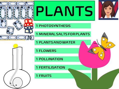 Plant Reproduction Test Ks3 At Beatrice Deforest Blog