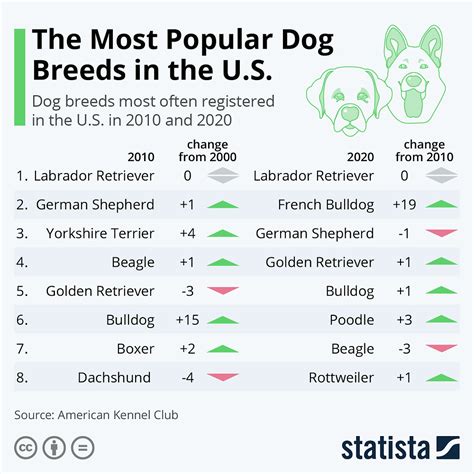 Most Popular Dogs In Usa 2024 Maire Roxanne