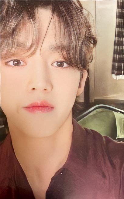 SCOUPS Fallen Misfit Lost Photocard Scan In 2023