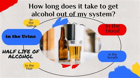 How Long Does Alcohol Stay In Your Blood How Long Does It Take To Get