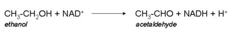 Biochemistry I Chapter 14 Problems Flashcards Quizlet