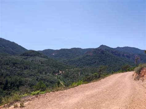 Melhores Caminhadas E Trilhas Em Parc Naturel Départemental De L