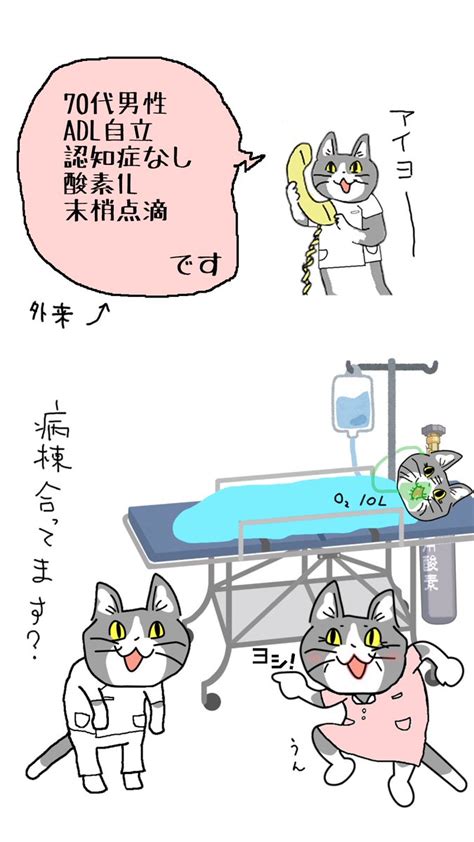 現場猫 看護師 昨日の続き 後日譚。 」病院猫の漫画