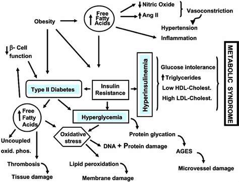 Metabolic Syndrome Download Scientific Diagram