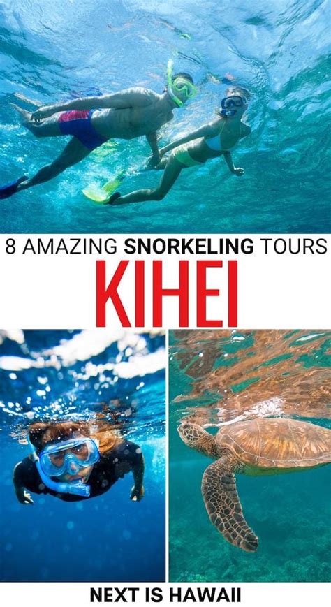 8 Kihei Snorkeling Tours Worth Your Money Best Spots