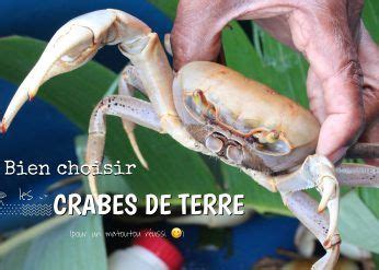 Choisir Les Crabes De Terre Guadeloupe Beignet Mardi Gras C Est Bon