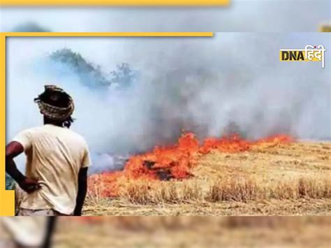 Stubble Burning पंजाब में नहीं थम रहा है पराली जलाने का सिलसिला क्या