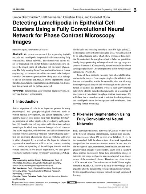 (PDF) Detecting Lamellipodia in Epithelial Cell Clusters Using a Fully ...