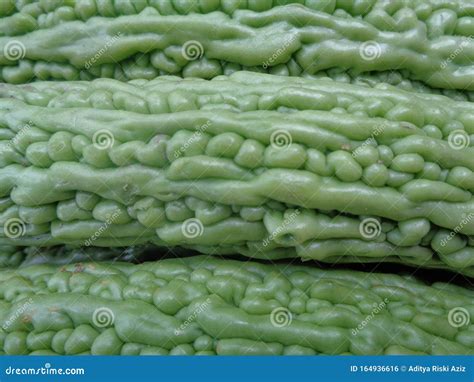 Bitter Melon Pare the Exotic Vegetable from Indonesia Stock Photo ...