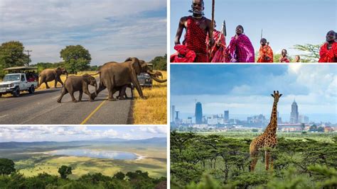 Kenya or Tanzania, which safari destination is right for you? | kimkim