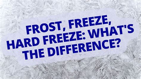 What's the difference between frost, freeze and hard freeze ...