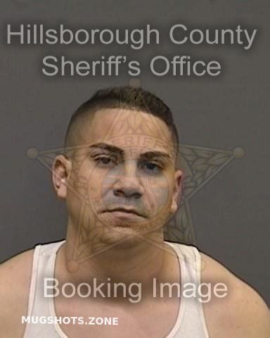 SANTOS GIL DE LAMA WILFREDO 08 25 2022 Hillsborough County Mugshots Zone