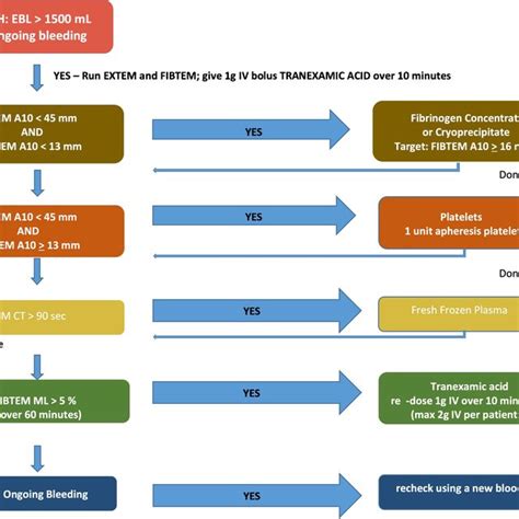 Thromboelastometry Algorithm For Postpartum Hemorrhage Management Pph