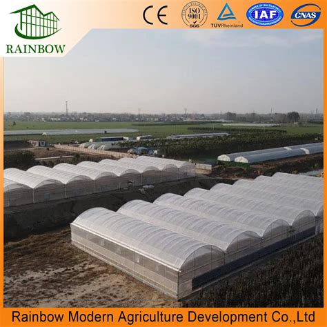 Multi Span Arch Type Pe Po Plastic Film Agricultural Green House With