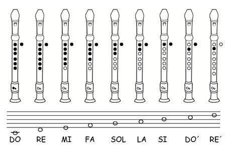 Posiciones De La Flauta Estudiar