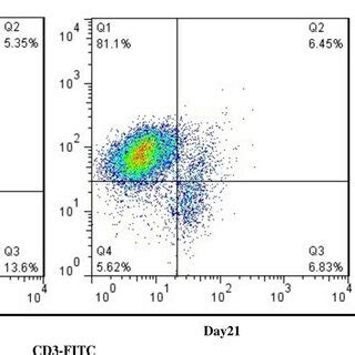 Cytotoxicity Of Nk Cells A Ldh Assay Activated Nk Cells Toward