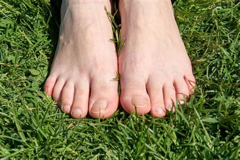 Beautiful Slim Female Feet On Green Grass Stock Image Image Of Relax Bare 12123139