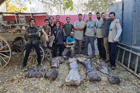 Hallan En R O Negro Un Nuevo Dinosaurio Herb Voro Gigante Con Huesos De