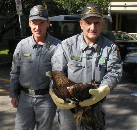 Carmo Langan Liberata Stamattina L Aquila Reale Colpita Da Un Fucile