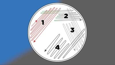 Isolation Streak With Quadrants