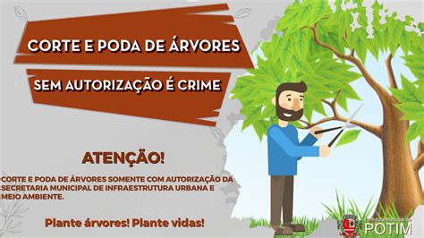 Corte De árvore Sem Autorização é Crime Prefeitura Municipal De Potim