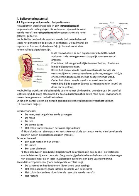 Samenvatting H4 4 Spijsverteringsstelsel 4 Algemene Principes M B