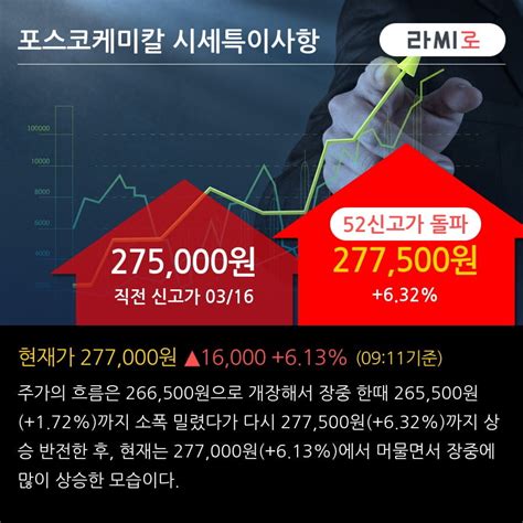 포스코케미칼 52주 신고가 경신 전일 외국인 대량 순매도 한국경제