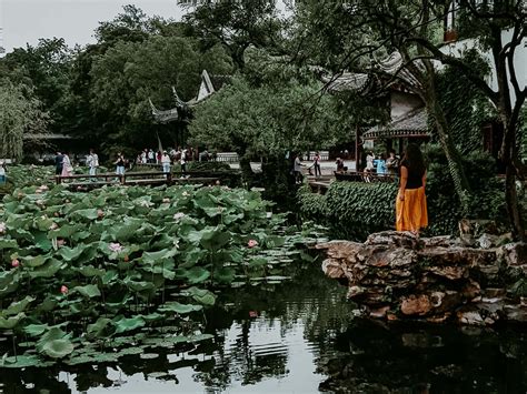 suzhou china  gardens