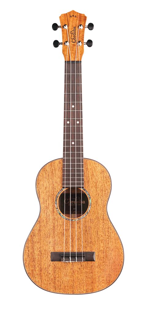 Cordoba 30t All Solid Wood Tenor Ukulele With Polyfoam Case