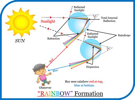 Explain the formation of a rainbow - Tutorix