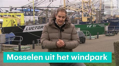 Mosselkweker Gaat De Noordzee Op YouTube